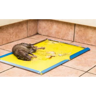 Reusable Expert Catch Mouse & Rat Glue Catch Trap