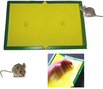 Reusable Expert Catch Mouse & Rat Glue Catch Trap